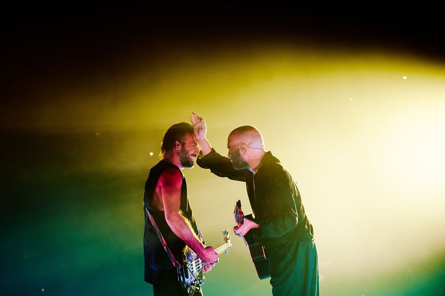 Negramaro_photo